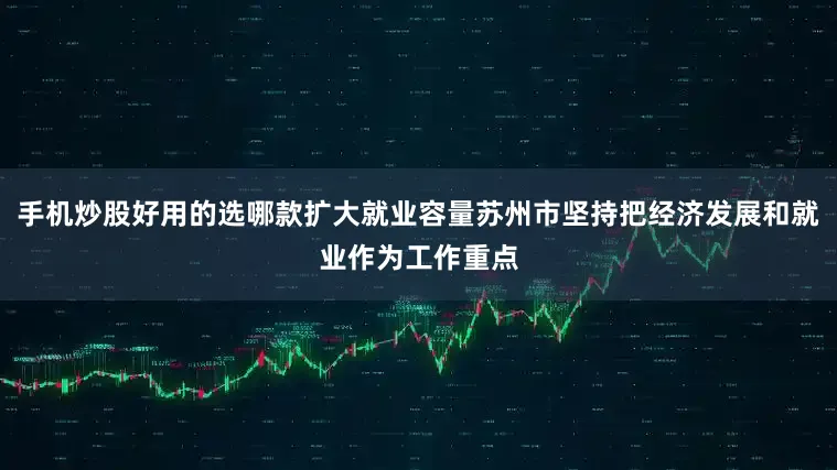 手机炒股好用的选哪款扩大就业容量苏州市坚持把经济发展和就业作为工作重点