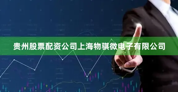 贵州股票配资公司上海物骐微电子有限公司