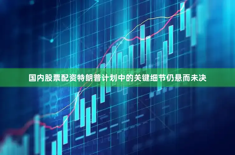国内股票配资特朗普计划中的关键细节仍悬而未决